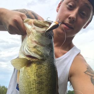 Meet your Posher, Chris